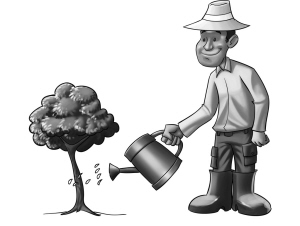 ������ϰ���� ������