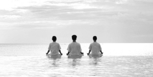 ��ؼ��ʸ���2012�걣��ҵ�ġ�������֮��