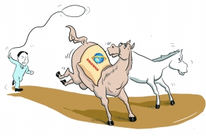 ���������д�����ܿհ�