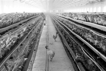 �������� ���� �Ϻ�����