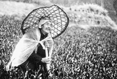 ���֡�������ũҵ��������