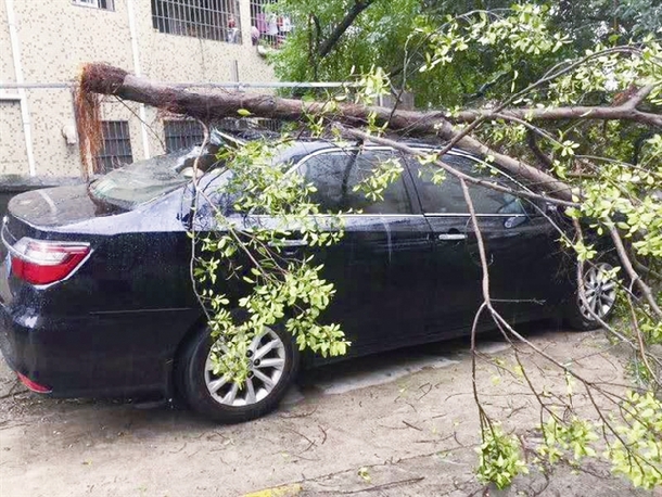 9��16�գ�����һ�ͻ�������̨�������𡣽ӵ��������л����չ㶫�ֹ�˾���ݲ鿱������ҵ�ֵ�鿱Ա�������ϸ��ֳ����ɹ���ͻ��������ƿ����ó�������4S��ά�ޡ�